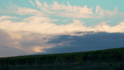 Sunset Timelapse Over Vineyards in Langhe, Barolo 库存影片 232340665