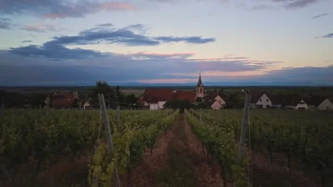Sunset timelapse over vineyards looking towards the village of Beblenheim in Stock Footage 337422584