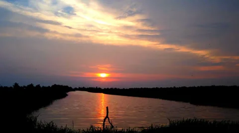 Sunset Timelapse at the paddy field Stock Footage 37131186