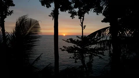 Sunset timelapse on the sea with palm trees. Video stock 146513154
