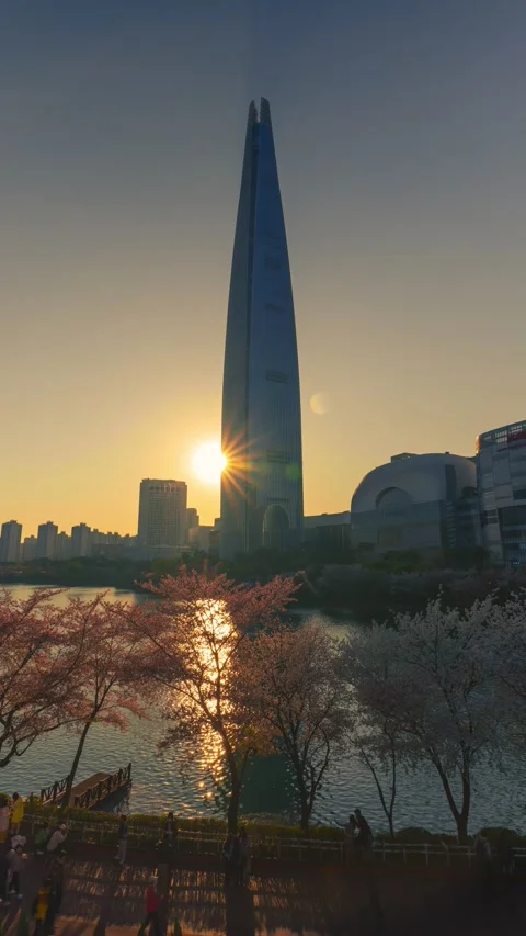 Sunset Timelapse at Seokchon Lake with Cherry Blossoms and Lotte World Tower Stock Footage 334706138