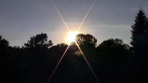 Sunset Timelapse With Treeline Silhouette Stock Footage
