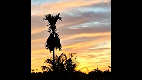 Sunset timelapse video footage 스톡 동영상 341680052