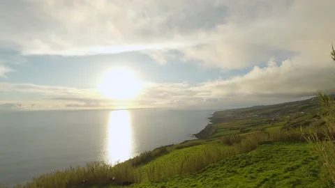 Sunset timelapse with a view of the coast and cows in the pasture. Видео 203166755