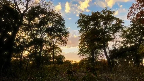 Sunset Timelapse in Wilderness Stock Footage 220101004