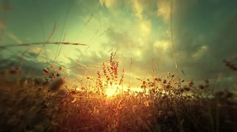 Sunset Timelaspe Video stock 12324286