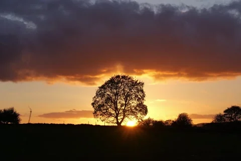 Sunset timelpase silhouetting a small tree, rolling clouds, natural colours Stock-Footage 273042696
