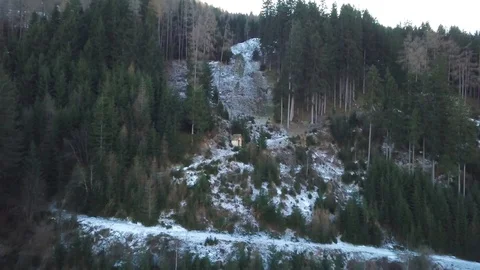 Sunset Top of Forest Video stock 128530011