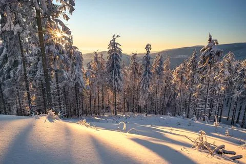 Sunset from the top of the mountain in Carpathian range. Landscape with winter Stock Photos