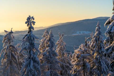 Sunset from the top of the mountain in Carpathian range. Landscape with winter Stock Photos
