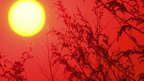 Sunset toward evening Stock Footage 235267225