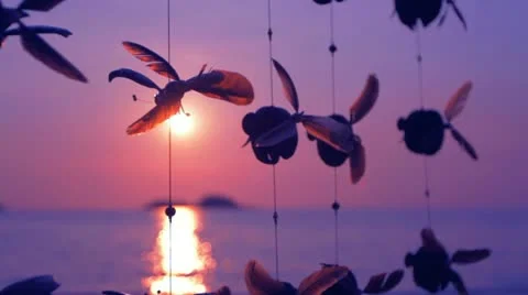 Sunset toys sea Stock Footage 11349474