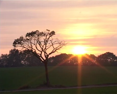 Sunset with tractors 스톡 동영상 69633