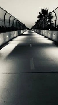 Sunset Trails (Black and White) Stock Photos