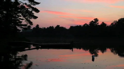 Sunset Train Video stock 770170