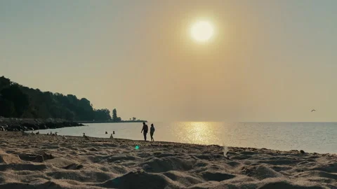 Sunset on Tranquil Beach with Silhouettes Stock Footage 283563707