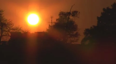 Sunset tree 2 Stock Footage 8915977