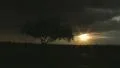 Sunset, tree and lightning - abstract HD Footage