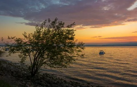 Sunset with a tree on the beach of garda lake Fotos de archivo