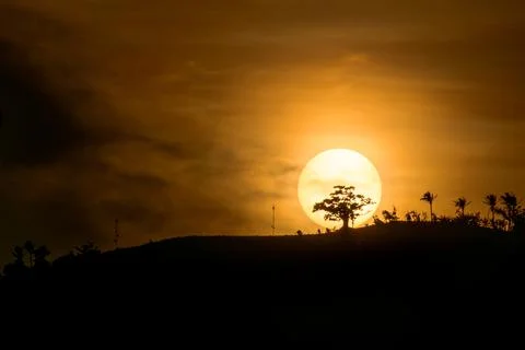 Sunset with a tree behind in silhouette Stock Photos