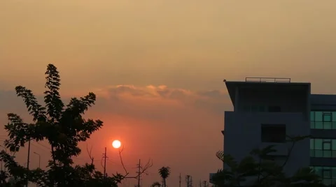 Sunset on the tree Stock Footage 58625787