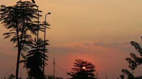 Sunset on the tree Stock Footage 58625791