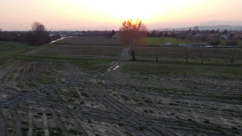 Sunset tree 스톡 동영상 150000898