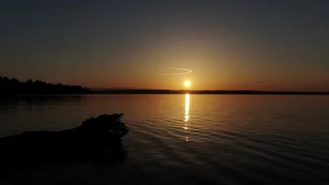 Sunset by the Tree Video stock 160134665