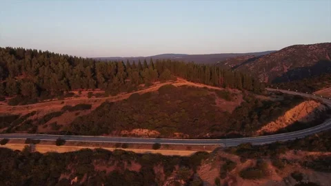 Sunset tree Stock Footage 189260947