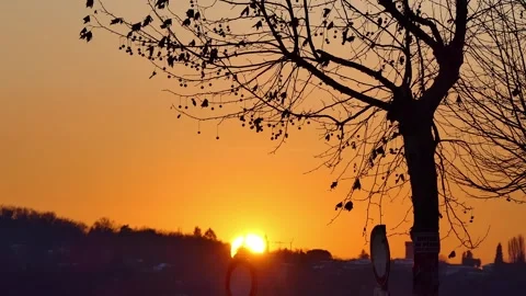 Sunset with Tree Stock Footage 279785819