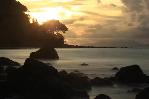Sunset with tree Stock Photos