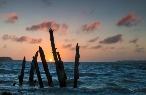 Sunset tree posts Stock Photos