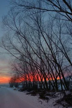 Sunset with tree shadow Free Stock Photos