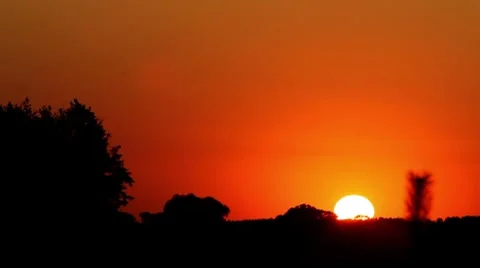 Sunset with tree silhouette. Stock Footage 8621210