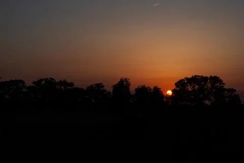 Sunset Tree Silhouette Stock Photos
