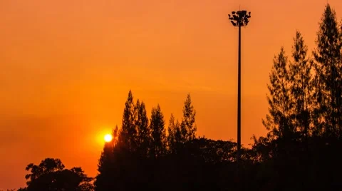 Sunset with tree silhouette time-lapse Video stock 48564593