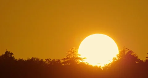 Sunset Tree Silhouette Timelapse, Golden Hour Mountain Warm Light Forest 4K Video stock 317943477