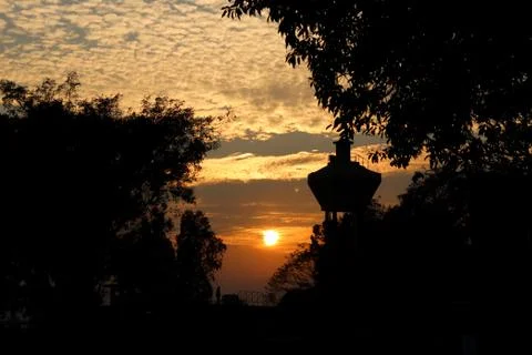 Sunset. Tree silhouetted against a setting sun. Fotos de archivo