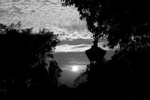 Sunset. Tree silhouetted against a setting sun. Fotos de archivo