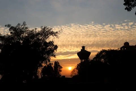 Sunset. Tree silhouetted against a setting sun. Fotos de archivo