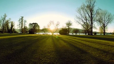 Sunset tree silhouettes beautiful magic hour light aerial view flying Stock Footage 74096694