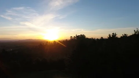 Sunset Tree Tops Video stock 87854280