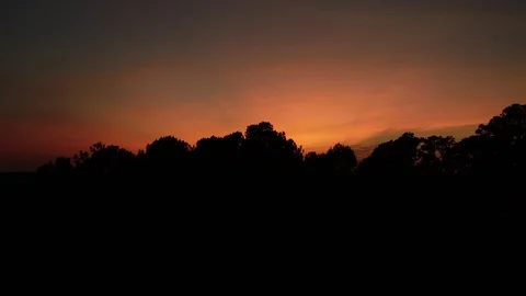 Sunset Treeline Silhouette Stock Footage 117083250
