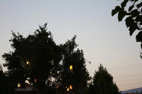 Sunset, Trees and Handmade Lights Stock Photos