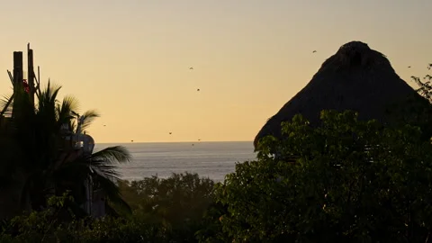Sunset with trees and a house as foreground with birds flying by. Vídeo Stock 264940773