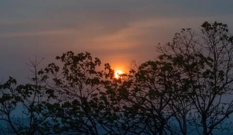 Sunset Trees And Mountains Stock Photos