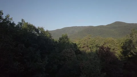 Sunset Trees and Mountains Scenic View Georgia Stock Footage 252615910