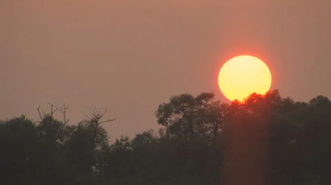 Sunset with the trees Stock Footage 35153162