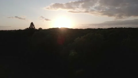 Sunset with Trees Stock Footage 194421764