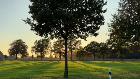 Sunset with trees Stock Footage 289295281